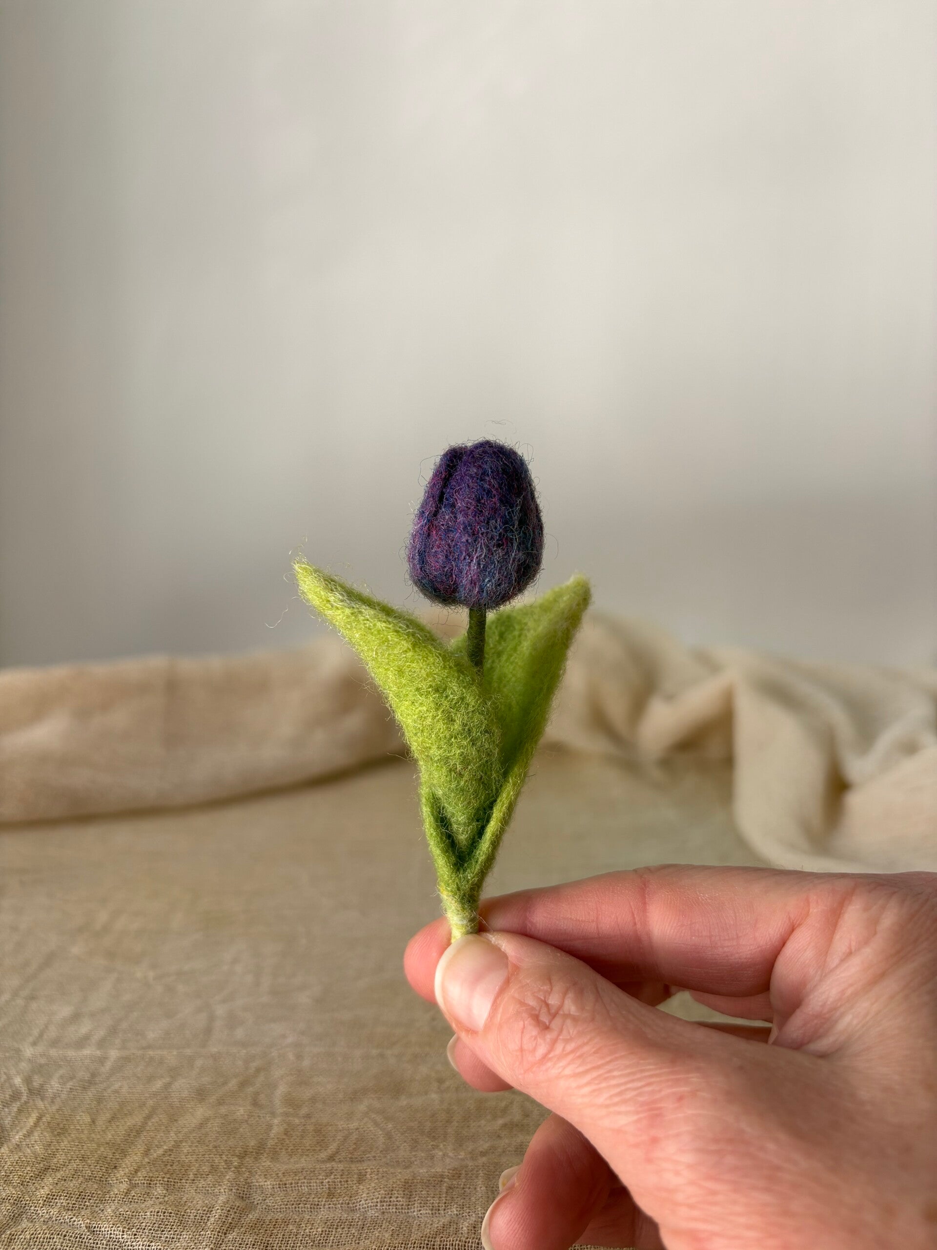 Mini paarse tulp