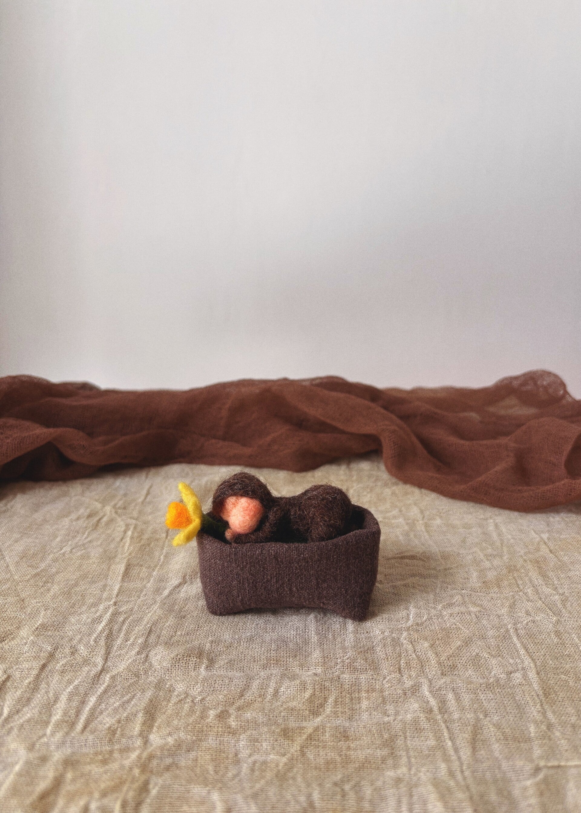 Narcis baby in aardebedje