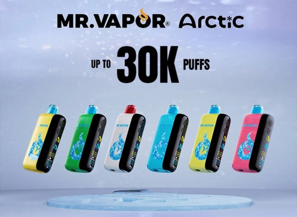 Mr. Vapor Arctic 30K Puffs Disposable Vape - Display Of 5