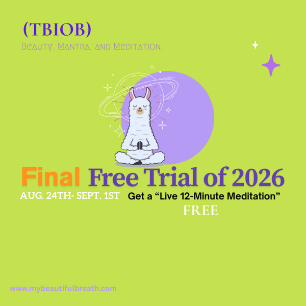 Live 12-Minute Free Meditation