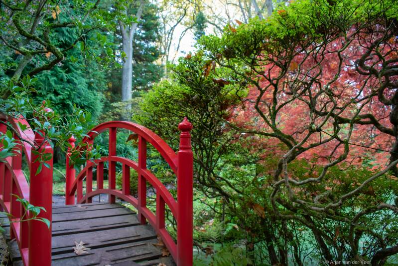 Japanse Tuin, Japanese garden