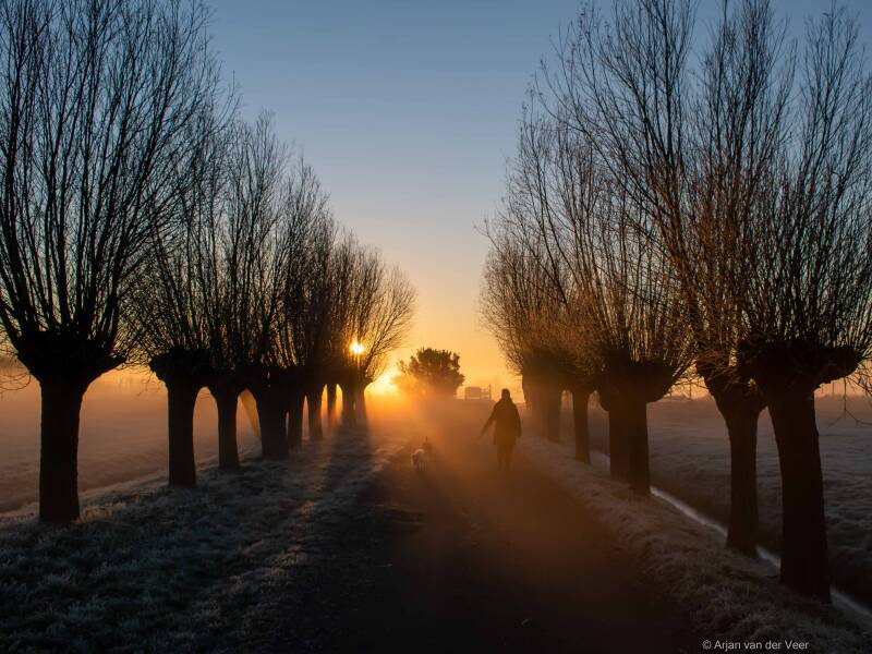 Winter; zonsopkomst; sassenheim; Teylingen