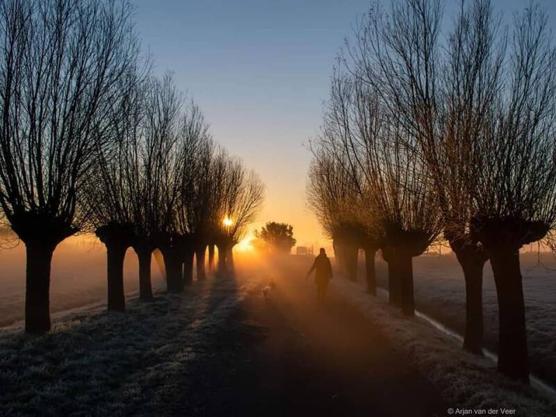 arjan van der veer; sassenheim; zonsopkomst; prijs; winnaar; fotograaf
