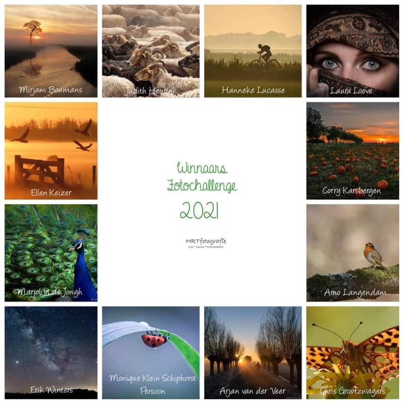 natuur; fotowedstrijd; winnaar