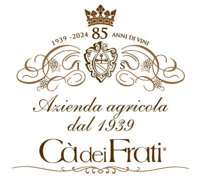 cdf-logo-0dd4dfd7-standard.png