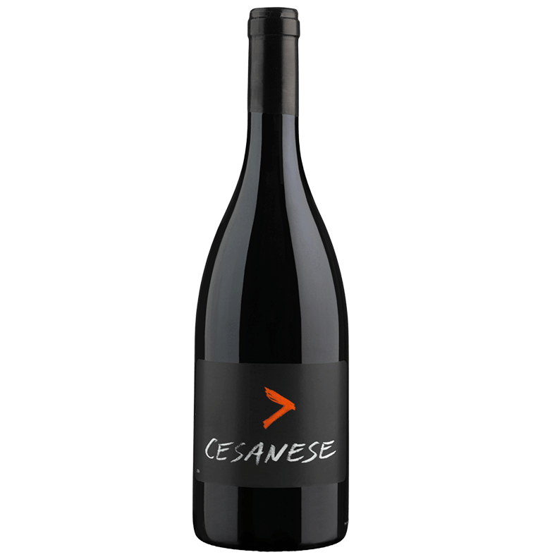 L'Olivella Cesanese Maggiore Lazio IGT 75cl 2021