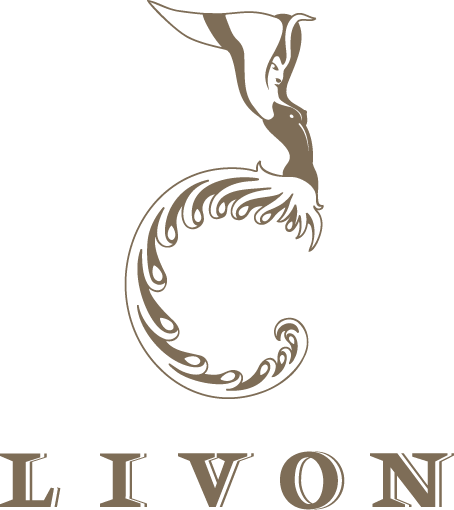 livon_logo_trasparente-2x-standard-7hwph0.png
