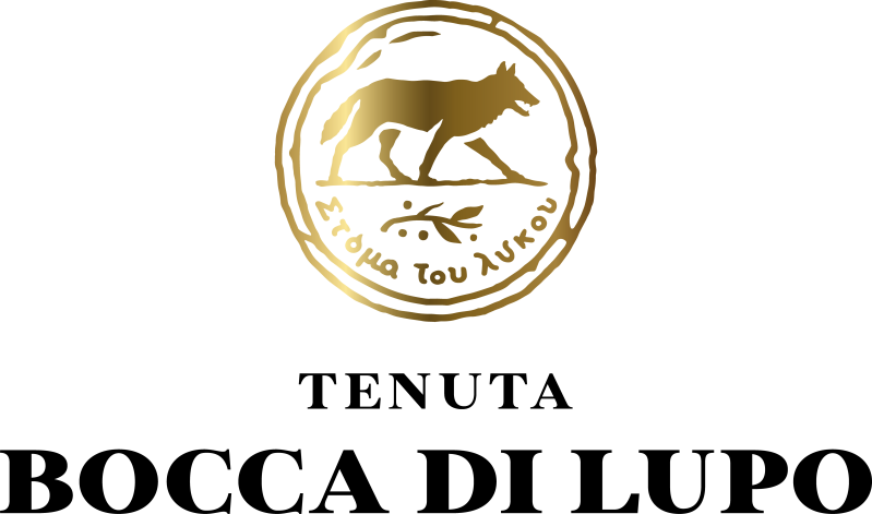 logo-gold-black-standard-tczhhp.png