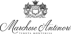 logo-montenisa-250x121-standard.png