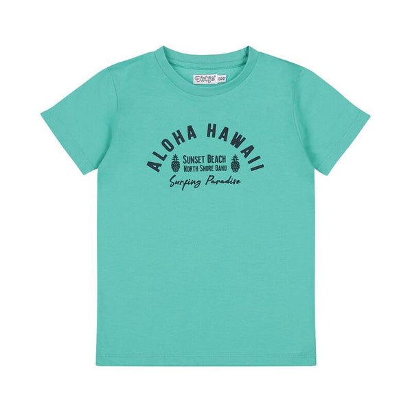 Dirkje Shirt Aqua Green