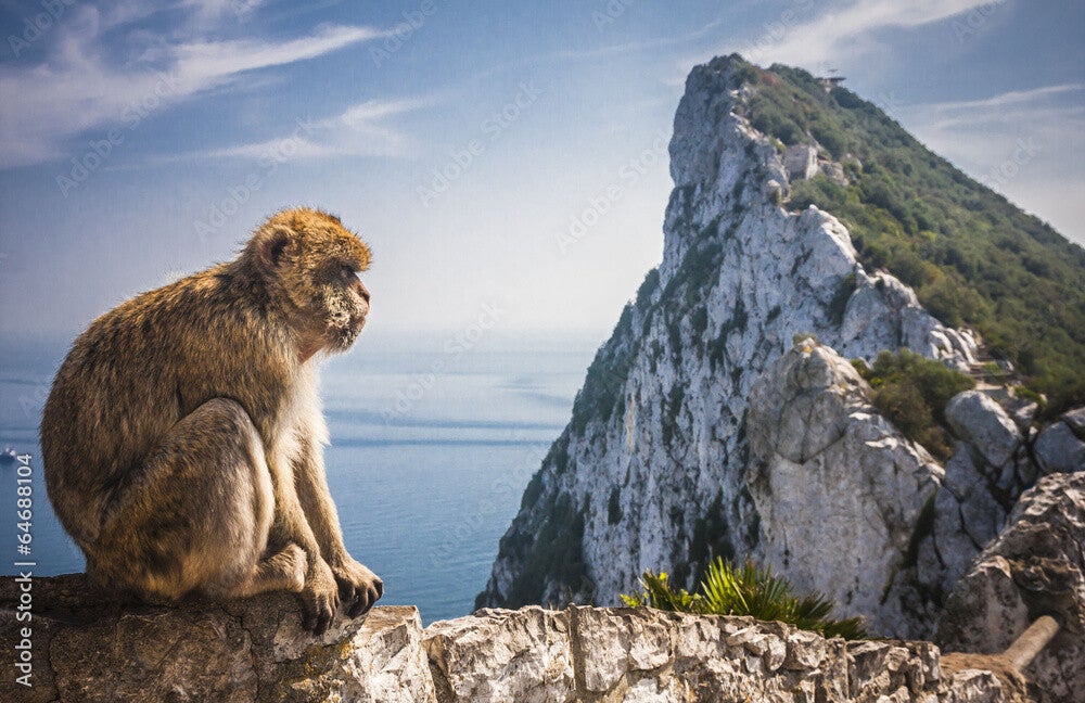Gibraltar one day
