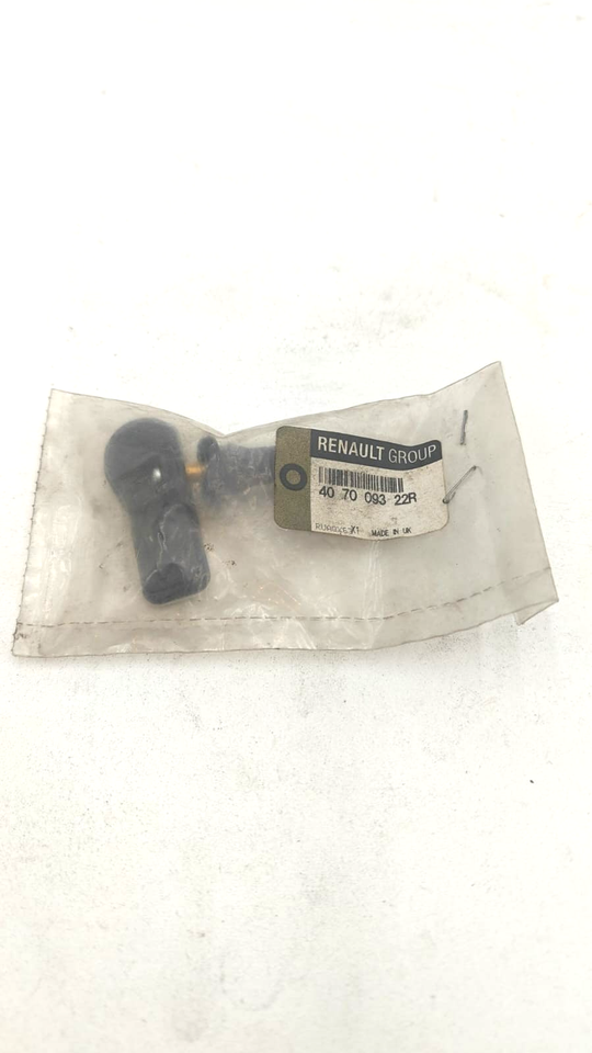 Système de surveillance de la pression des pneus 407009322