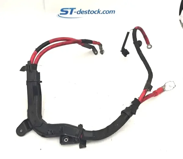 Câble positif Renault Mégane Scénic 242960012r