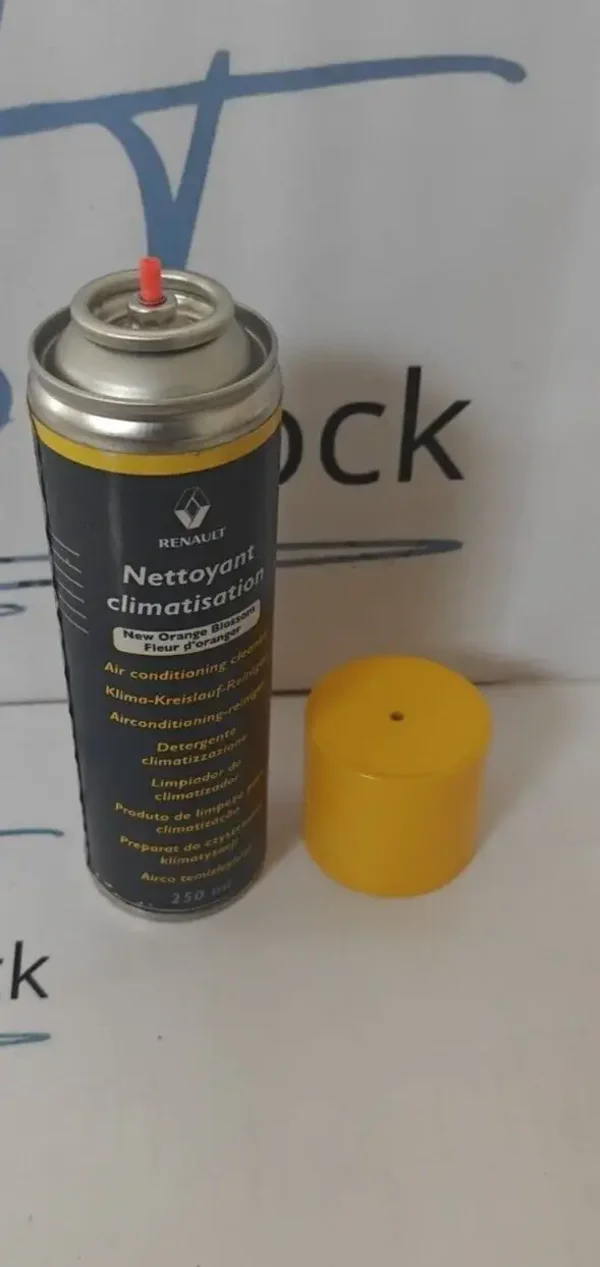 nettoyant climatisation fleur oranger Renault 7711424850 250 ml