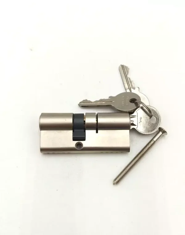 cylindre double serrure 30X40 nickelé vis 60 mm vachette assa abloy avec 3 clés