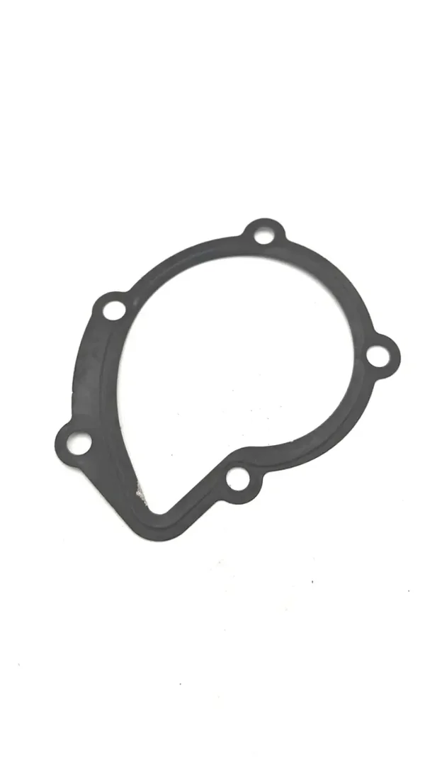 Joint d'étanchéité, pompe à eau Peugeot Citroën 1206A4