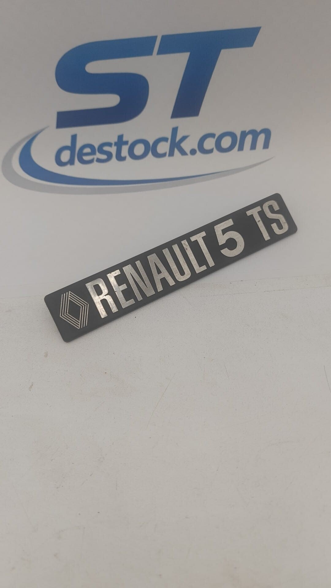 Monogramme Renault 5 TS