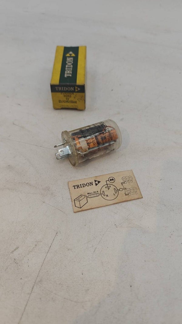 Centrale clignotante 6V TRIDON HD63
