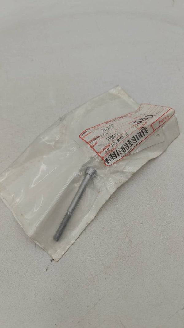 Vis M6x60 8150157