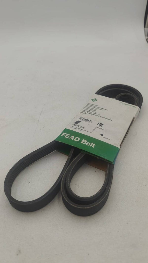 Courroie accessoire INA FB6PK1965