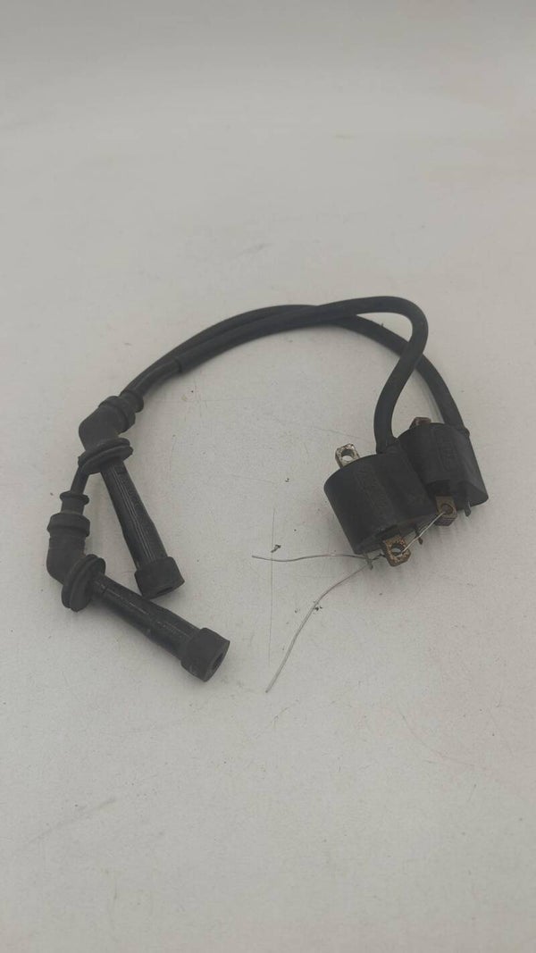 Paire de Bobine d'allumage Suzuki 650 SV 3 F6T559