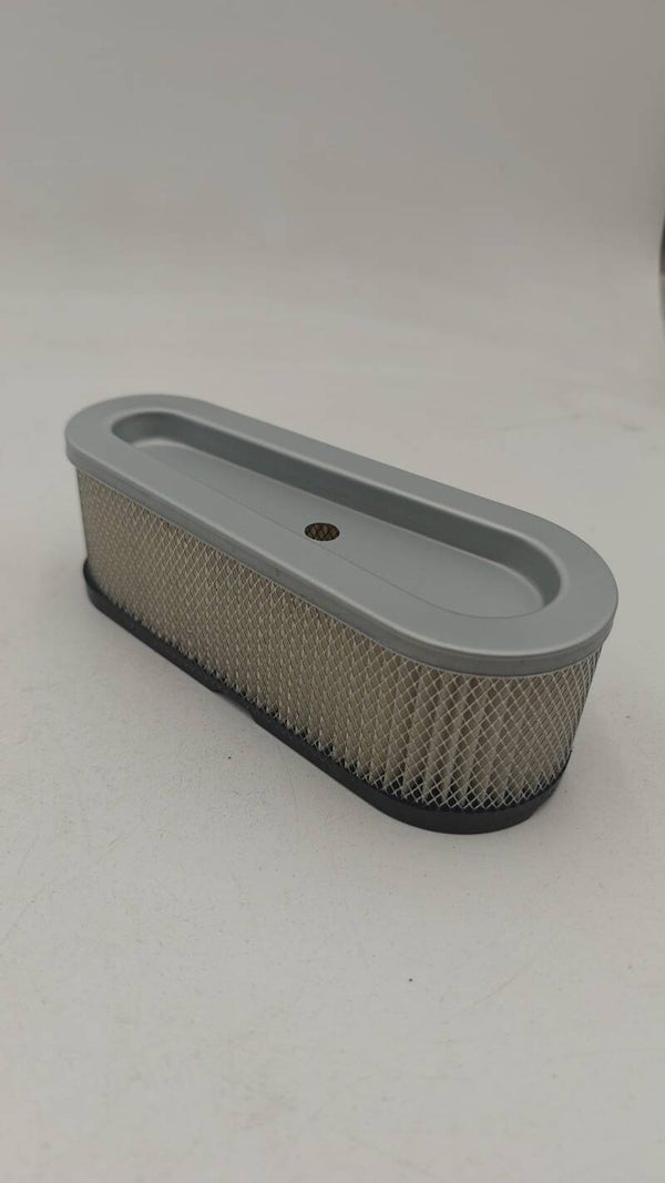 FILTRE à AIR Briggs et Stratton 691667 / 493910