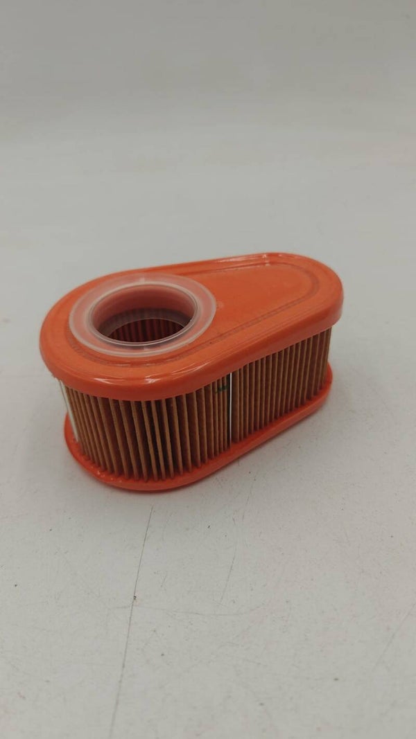 Filtre à air pour moteur Briggs & Stratton (792038)