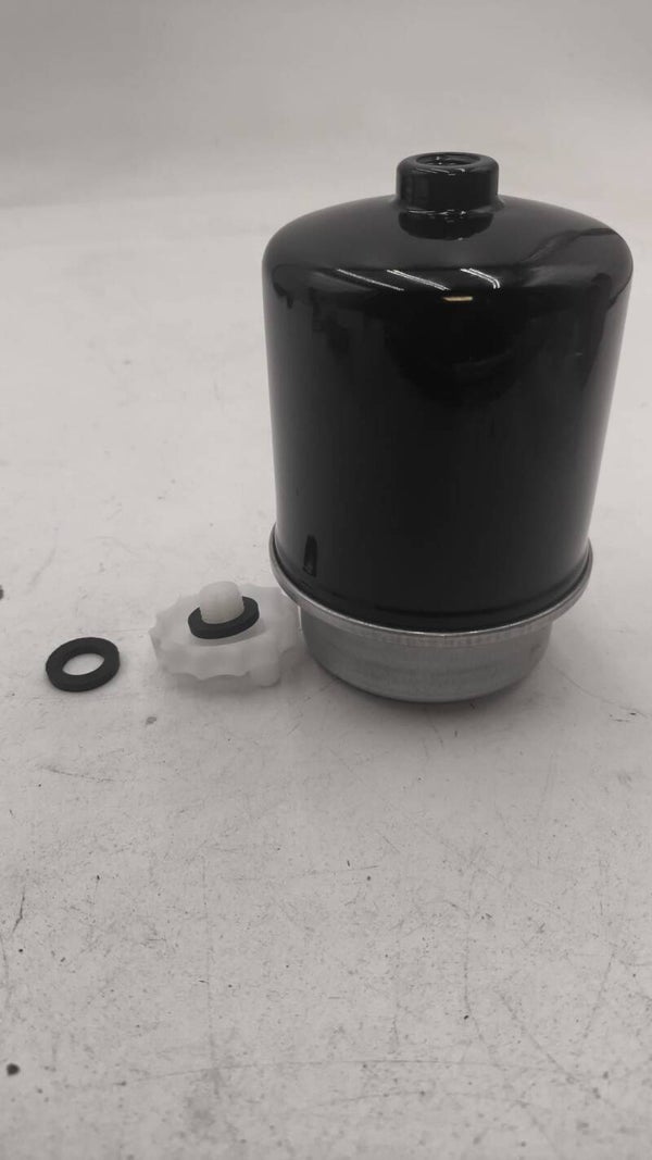 Filtre à carburant 2175344 1423808 pour moteur Lombardini LDW492 LDW480 Microcar Ligier JS60