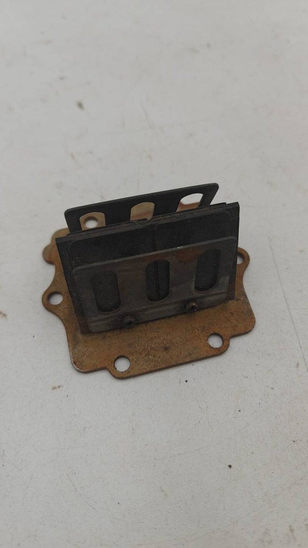 Boite à clapet 125 KX 2000 / reed valve box