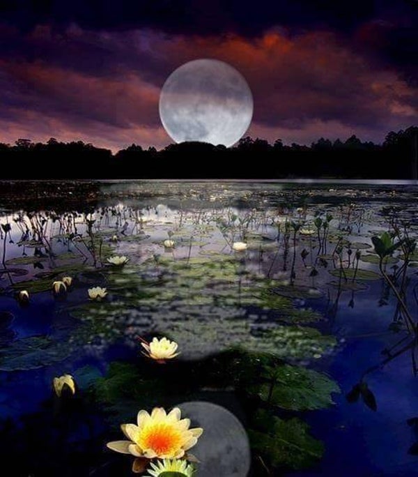 Méthode d'approche du Corps Physique Divin de G. Grabovoï (21-04-2003)