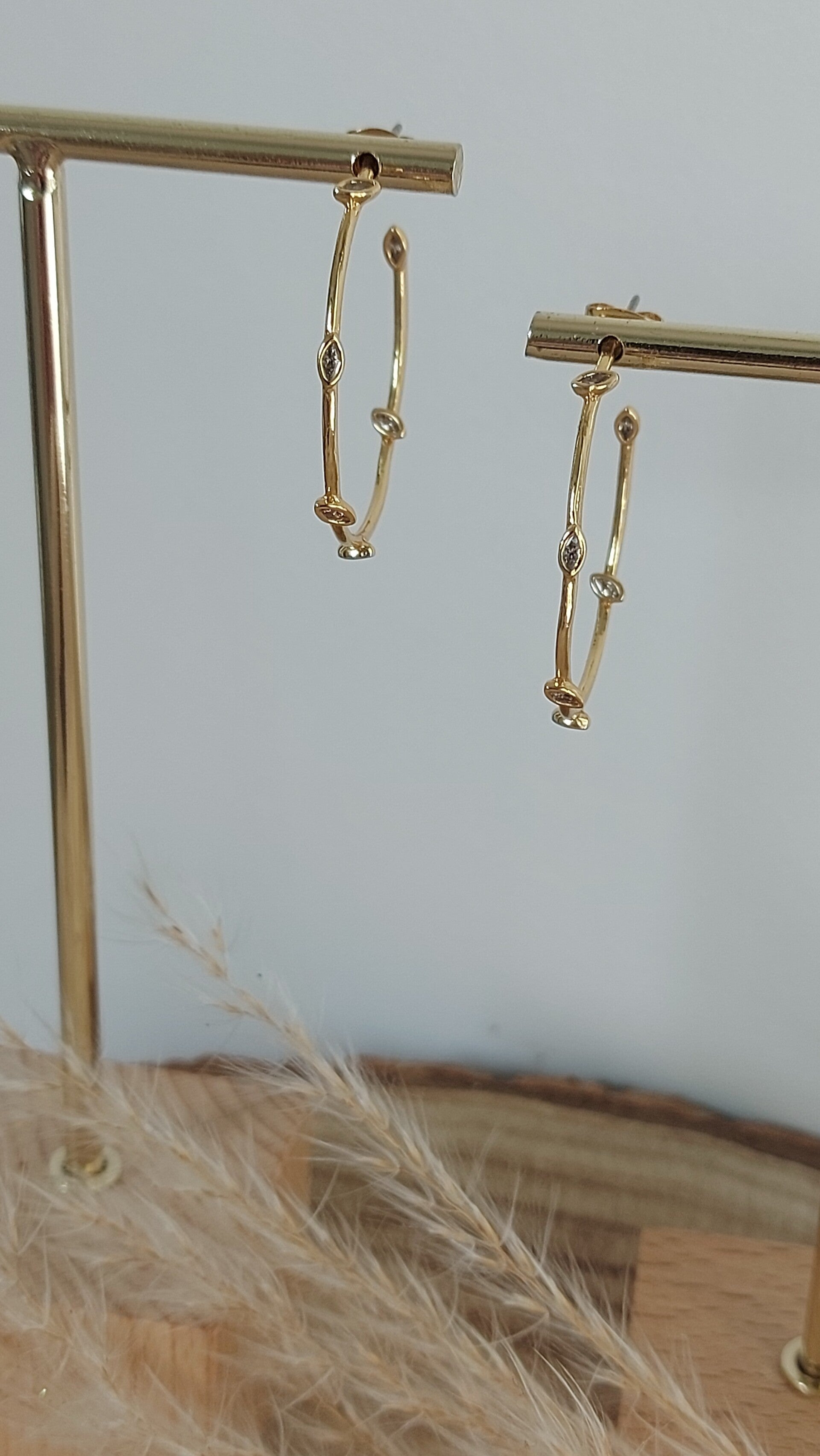 Brassia