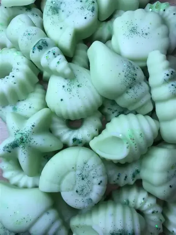 Fondant Senteur Propre et bien être 10 à 20 g