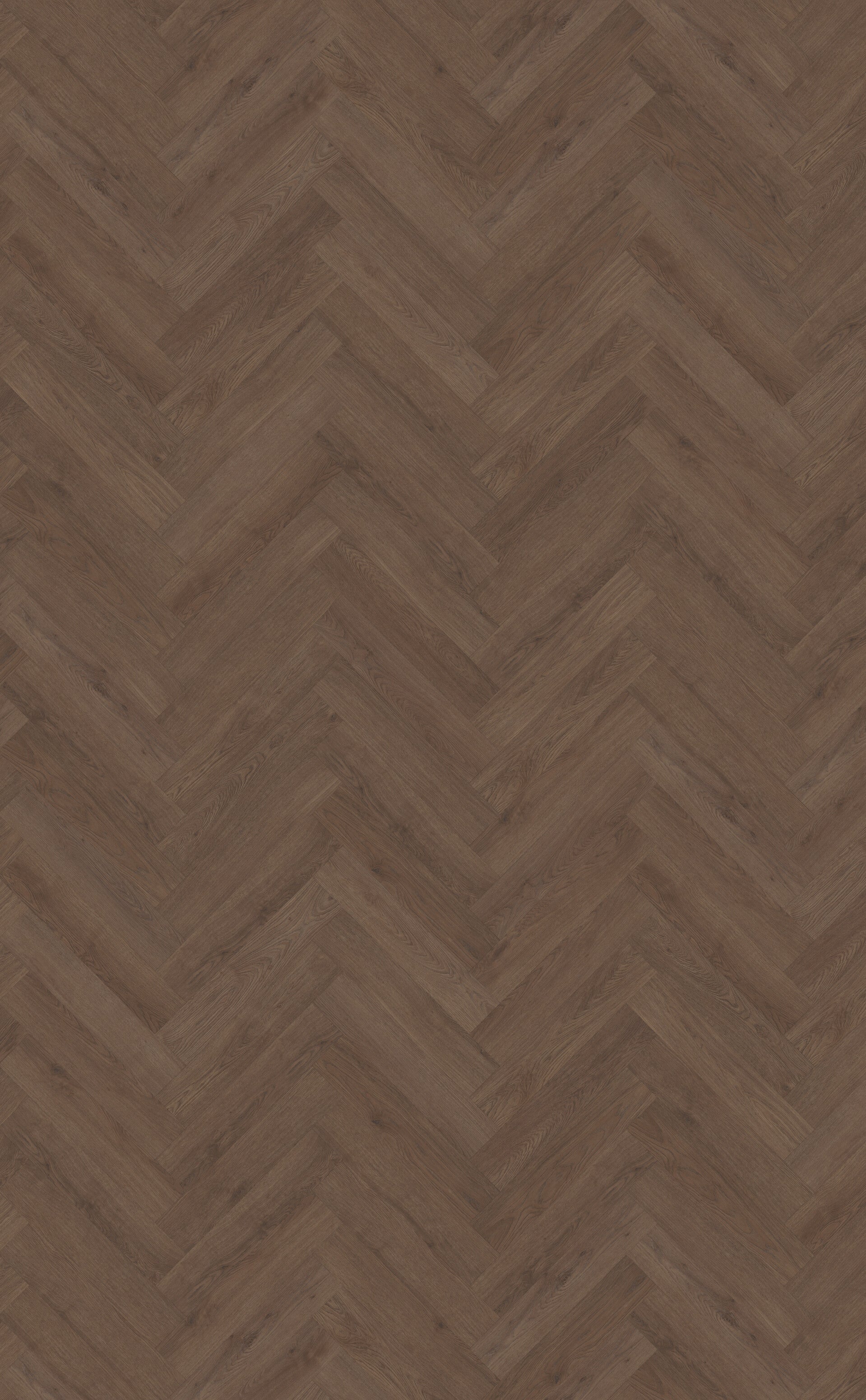 Belakos Monastro visgraat XL 90