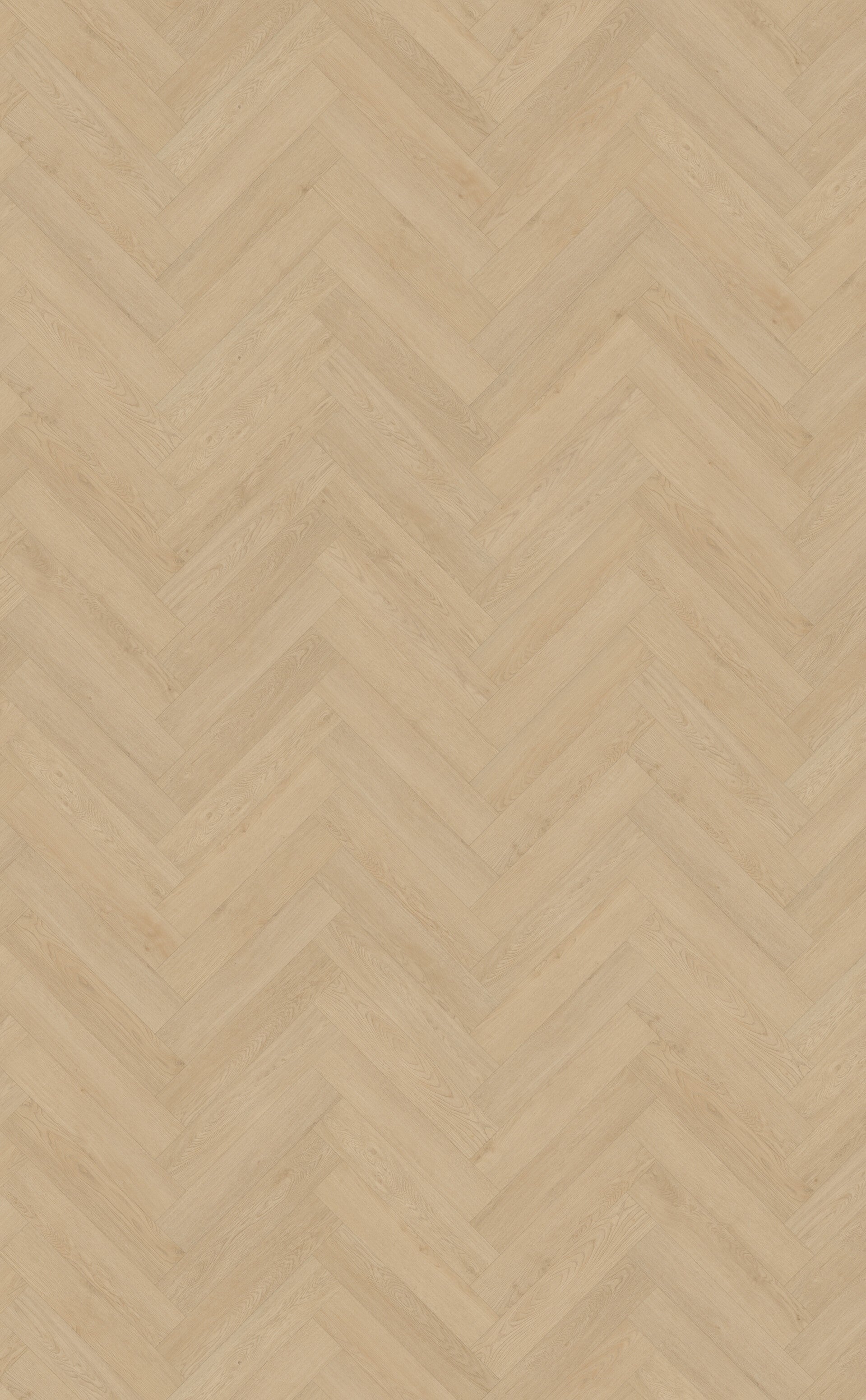 Belakos Monastro visgraat XL 92