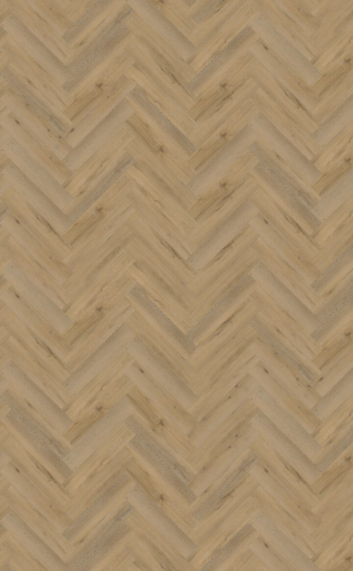 Belakos Attico visgraat XL 80