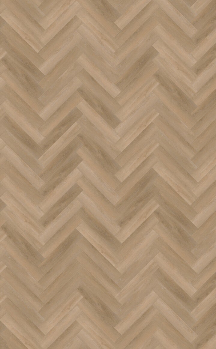 Belakos Attico visgraat XL 81