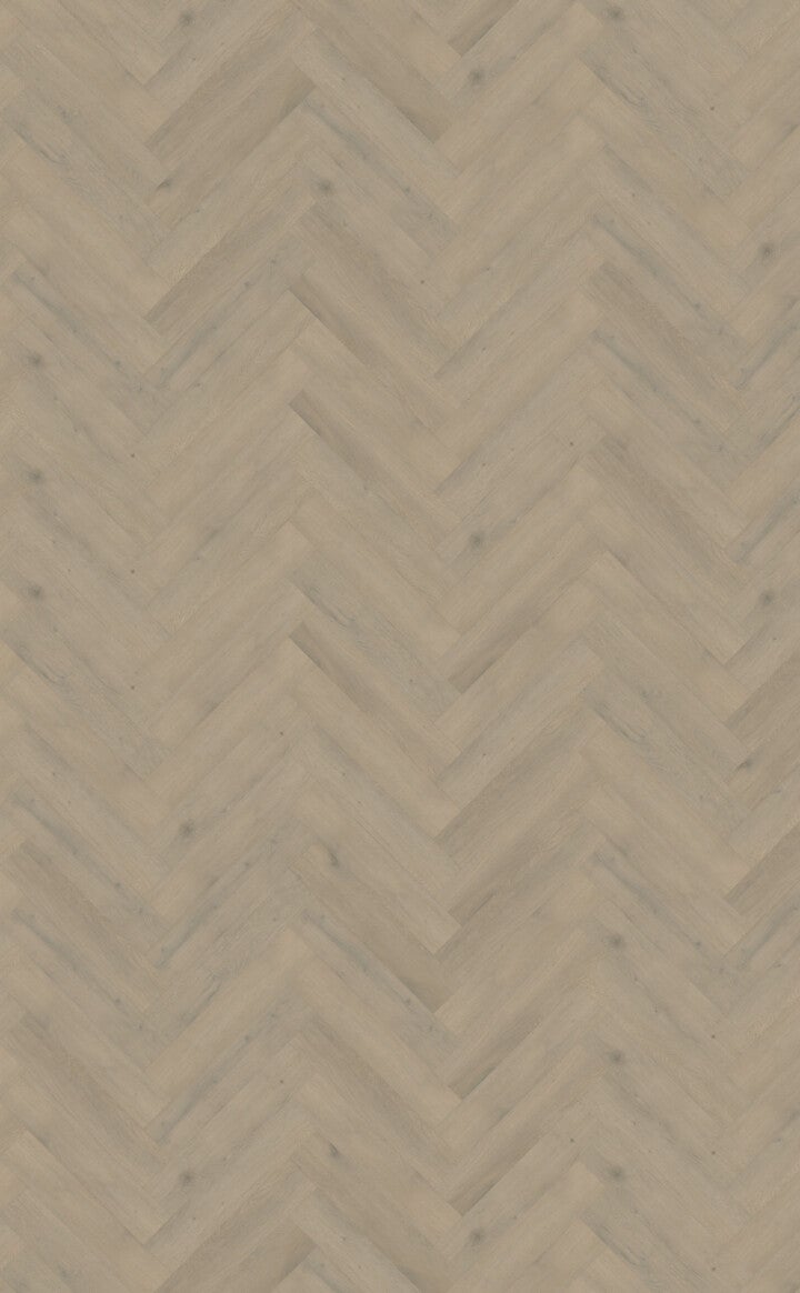 Belakos Attico visgraat XL 85