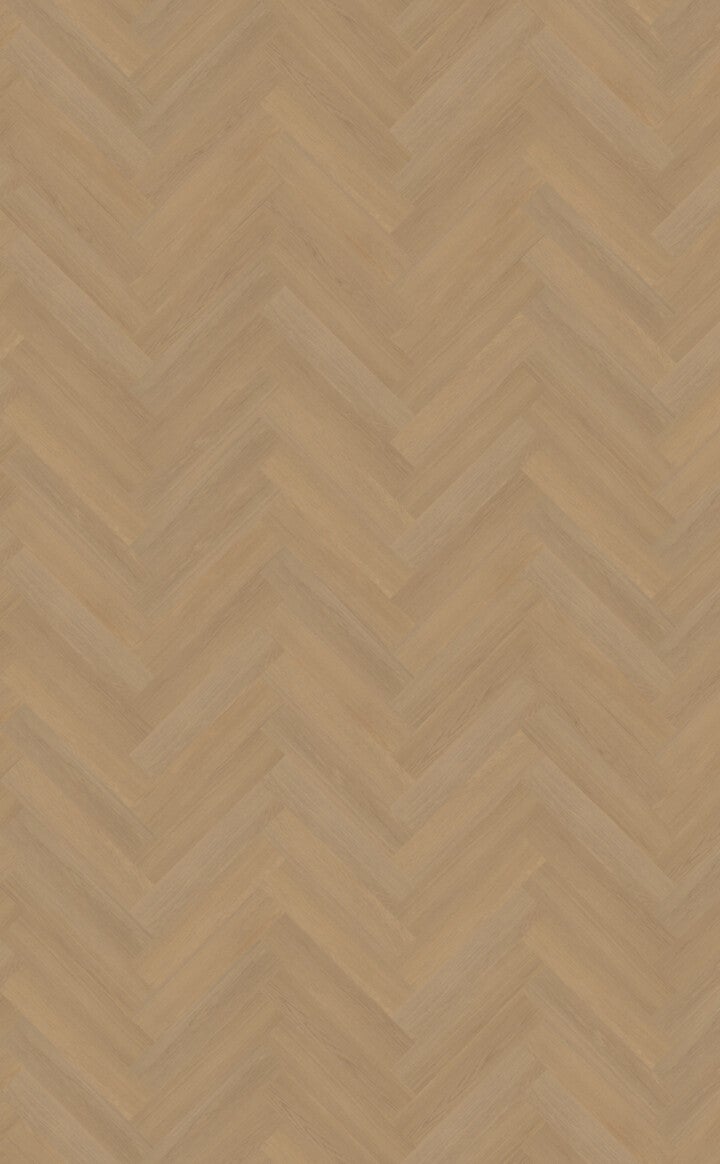 FUTURO VISGRAAT XL 51