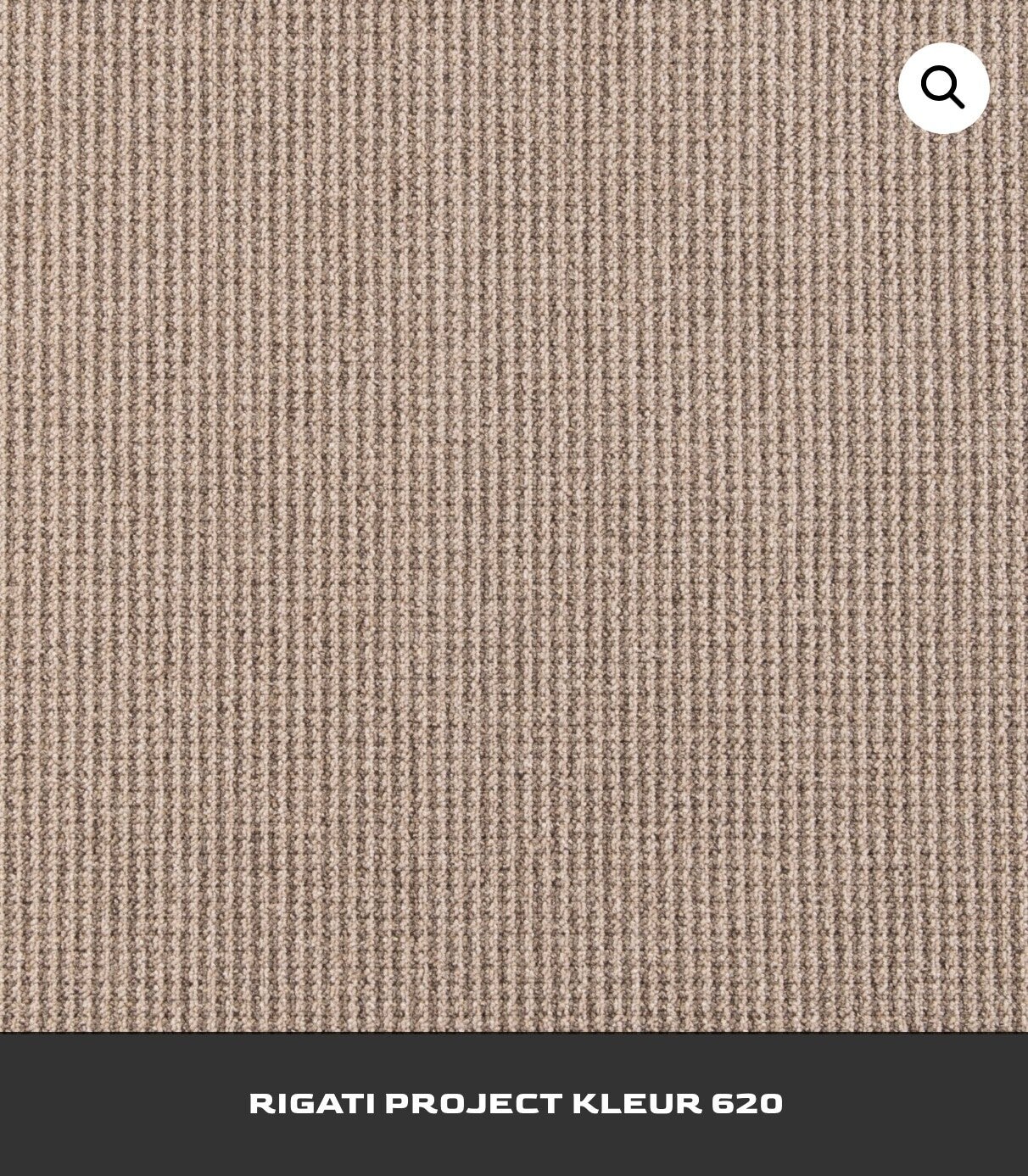 RIGATI PROJECT - SDN