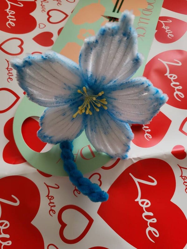Fleur blanche et bleu