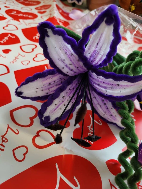 Lys violette