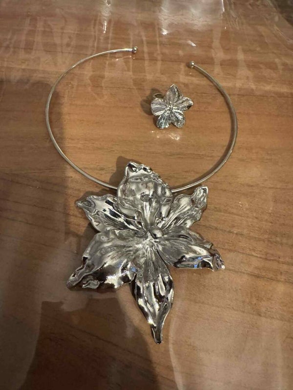 1 collier argenté et une bague argenté