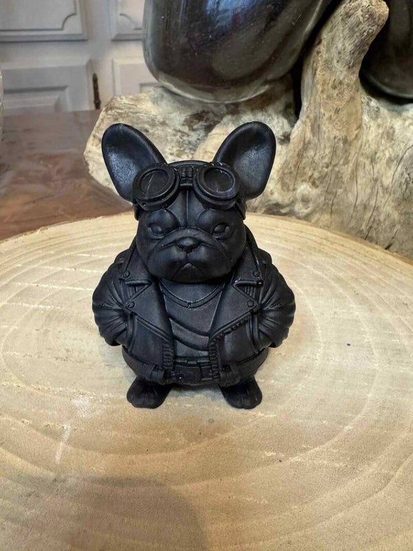 bouledogue aviateur noir