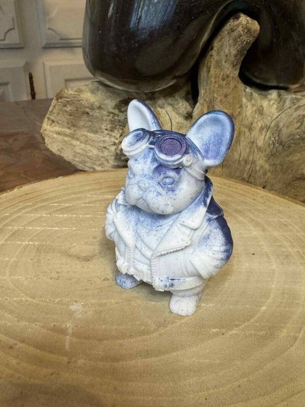 bouledogue aviateur blanc explosion de bleu