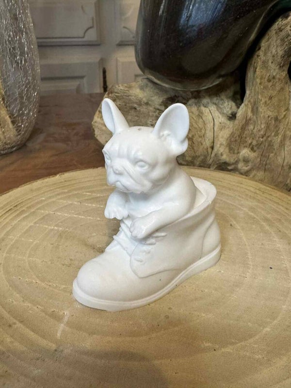 bouledogue blanc dans sa chaussure