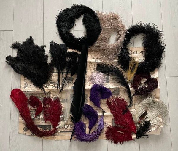 LOT DE PLUMES MAISON BARLAN & PREVOST PARIS