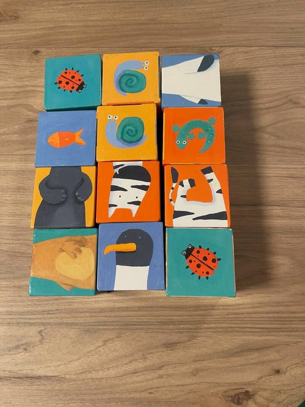 Cubes animaux
