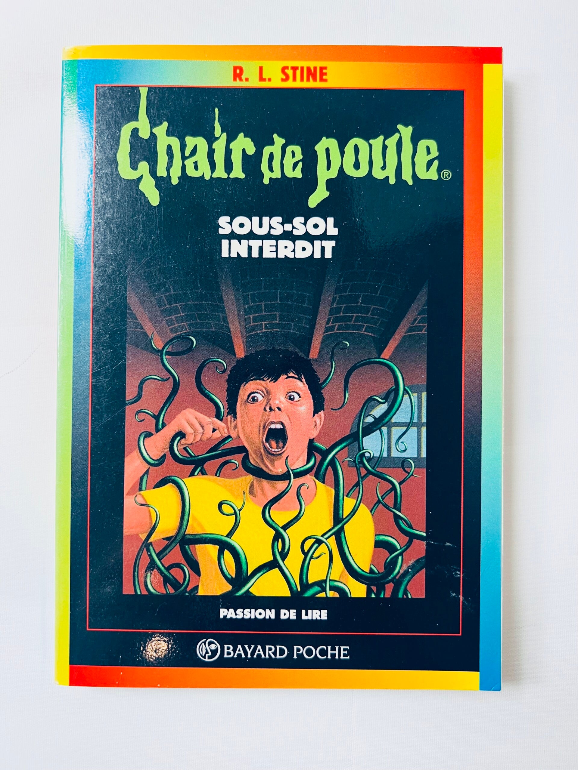 Chair de Poule - Sous sol interdit