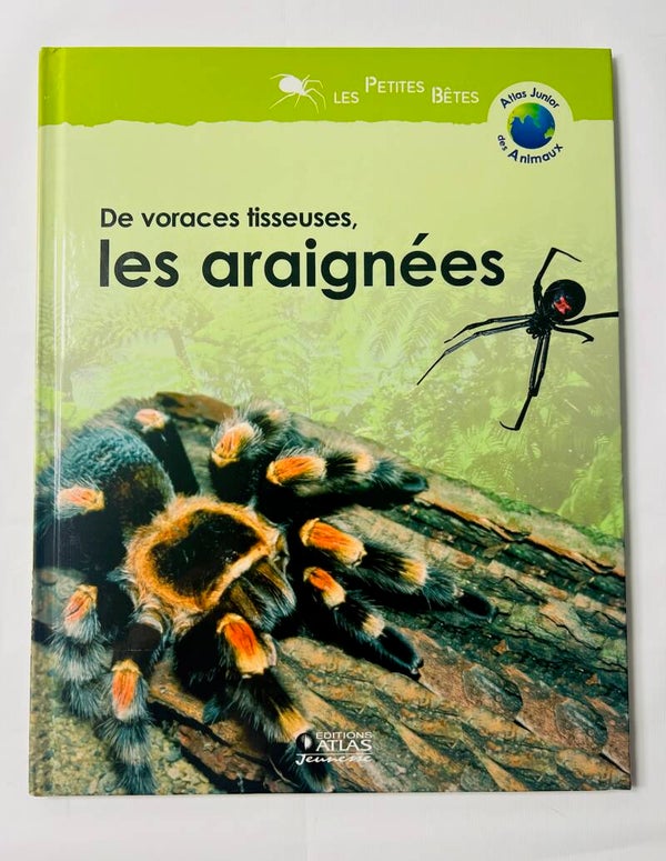 Atlas Junior des animaux - Les araignées