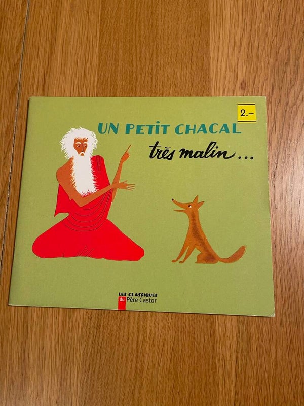Un petit chacal très malin